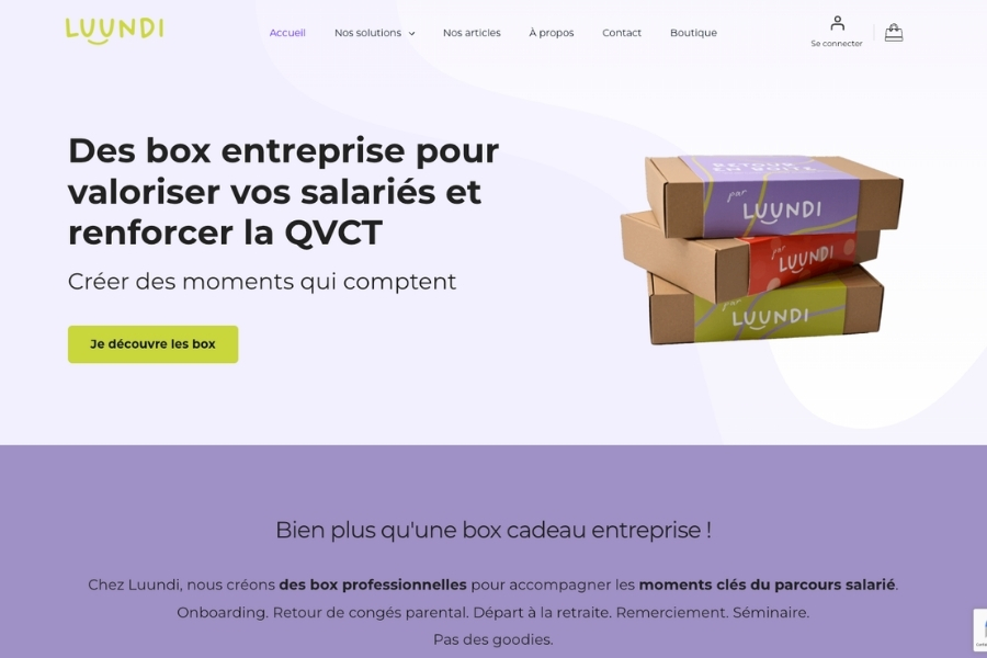 Site web e-commerce  |  
Rédaction des contenus